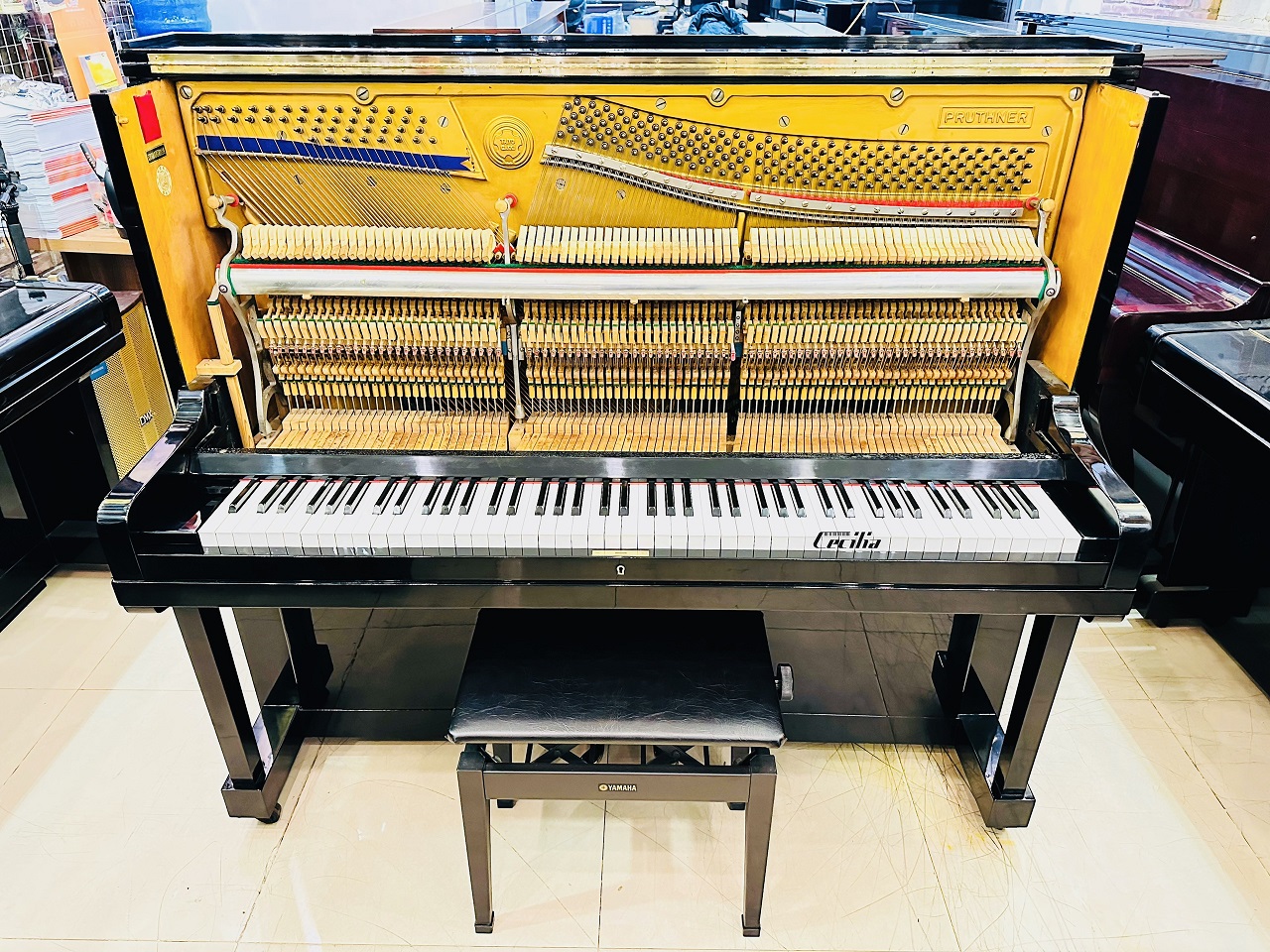 piano-co-pruthner-2