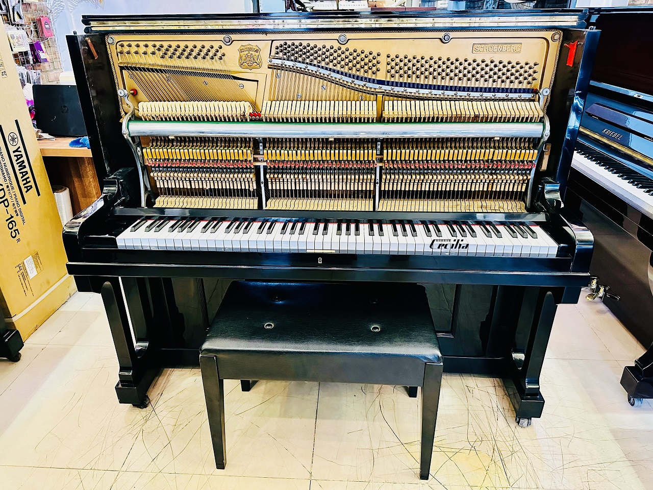 piano-co-schoenberg-2