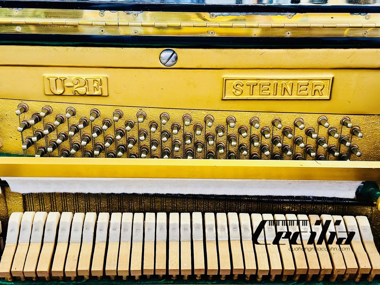 piano-co-steiner-5
