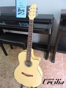Đàn guitar acoustic màu vàng CA-01