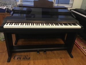 Đàn Piano điện Roland HP800 | Piano điện giá rẻ