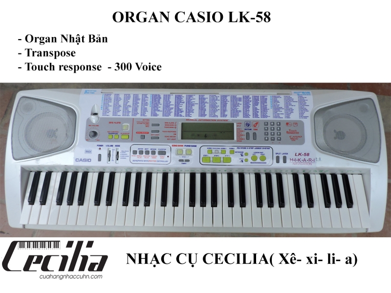 Đàn Organ Casio LK58 - Organ Nhật giá rẻ