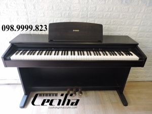 Đàn Piano điện Yamaha YDP101 - Piano điện giá rẻ