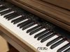 piano-nhat-technics-sx-px73-gia-re - ảnh nhỏ 3