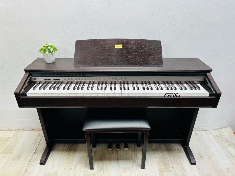 Đàn Piano điện Casio AP45 - Piano điện Nhật Bản