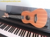 ukulele-concert-uk-23 - ảnh nhỏ  1