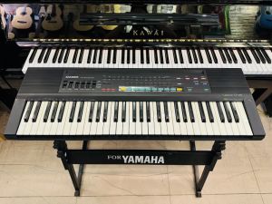 Đàn Organ Casio Nhật giá rẻ cho người mới tập chơi