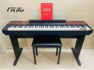 Đàn Piano Yamaha P120