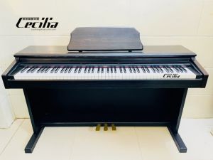 Đàn Piano Columbia EP340
