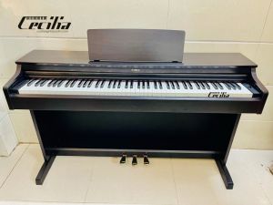 Đàn Piano Yamaha YDP163