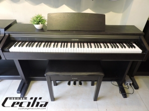 Đàn Piano điện Casio AP 200 | Giao hàng toàn quốc