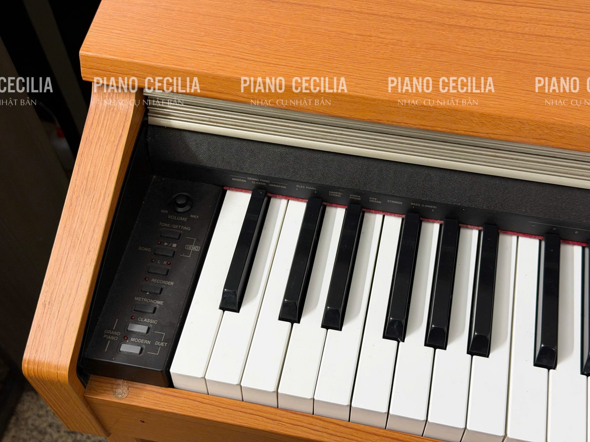 casio_ap400_1