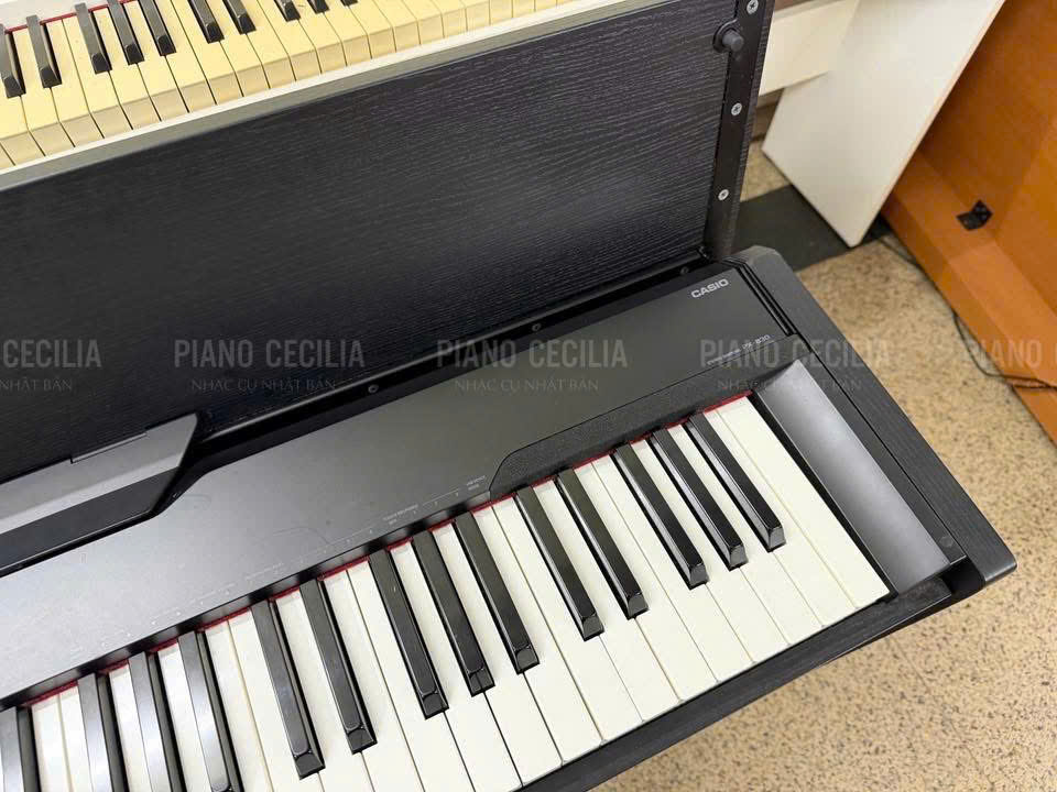 casio_px830_2