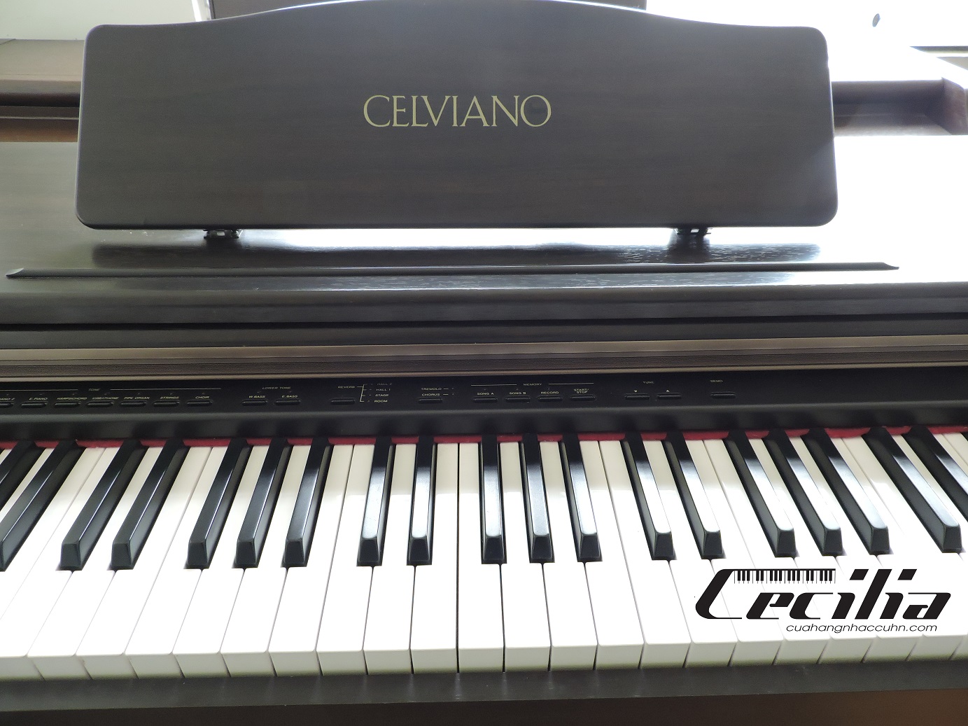 casiovj201piano