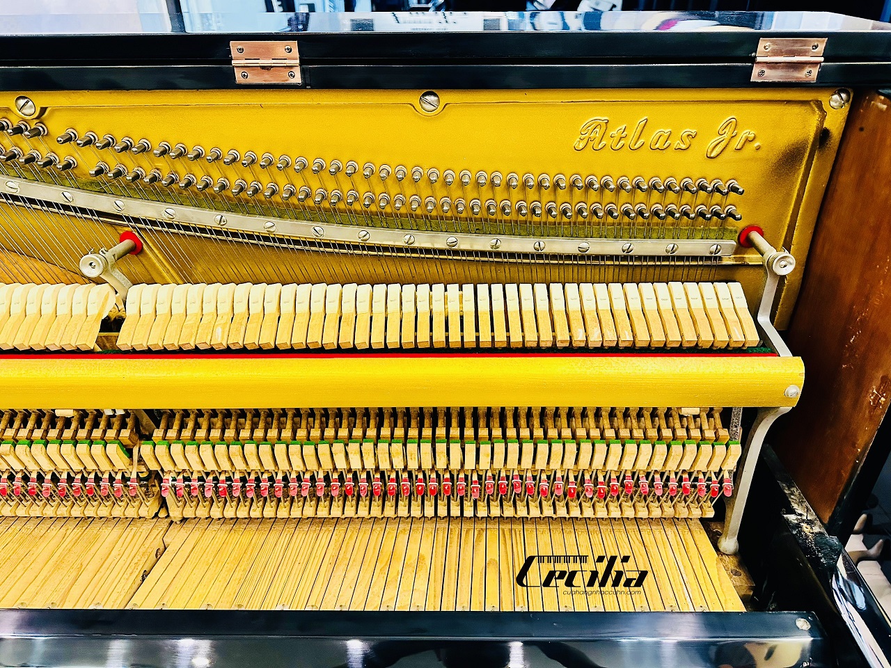 dan-piano-co-atlas-gia-re-5