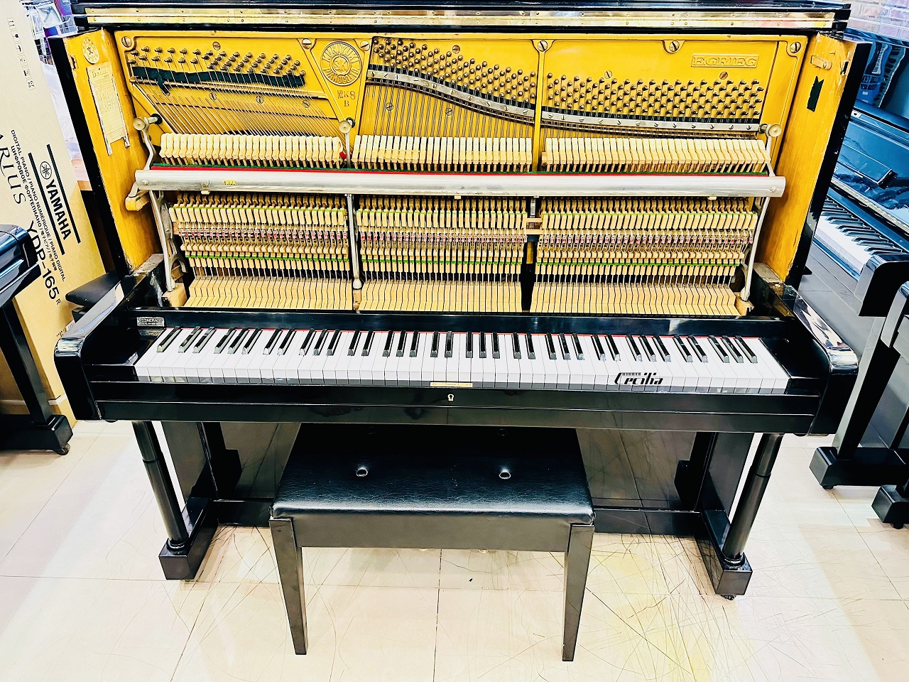 dan-piano-co-egrieg-2