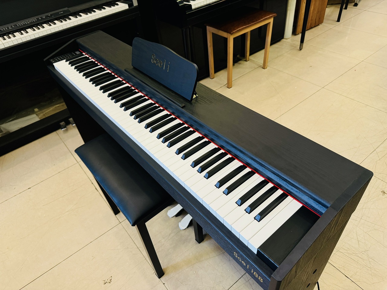 dan-piano-dien-ce88-5