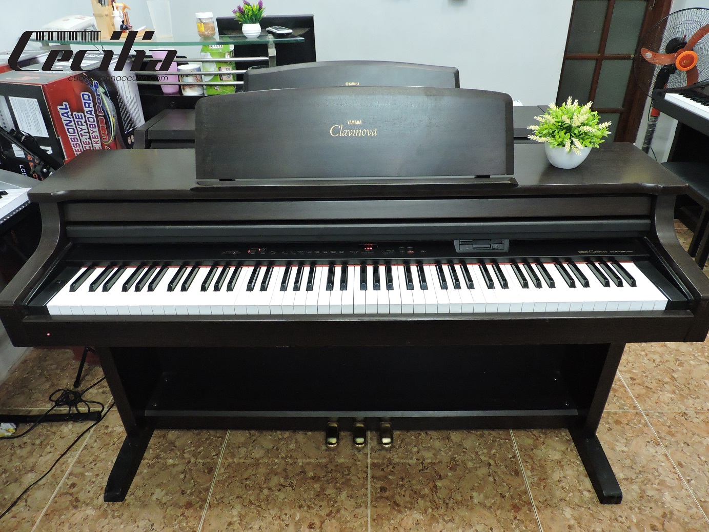 dan_piano_dien_clp156_1