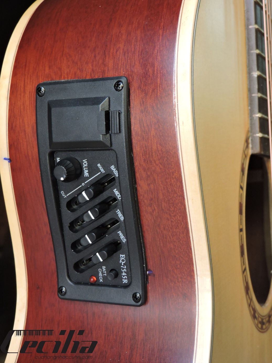 guitaracoustic4