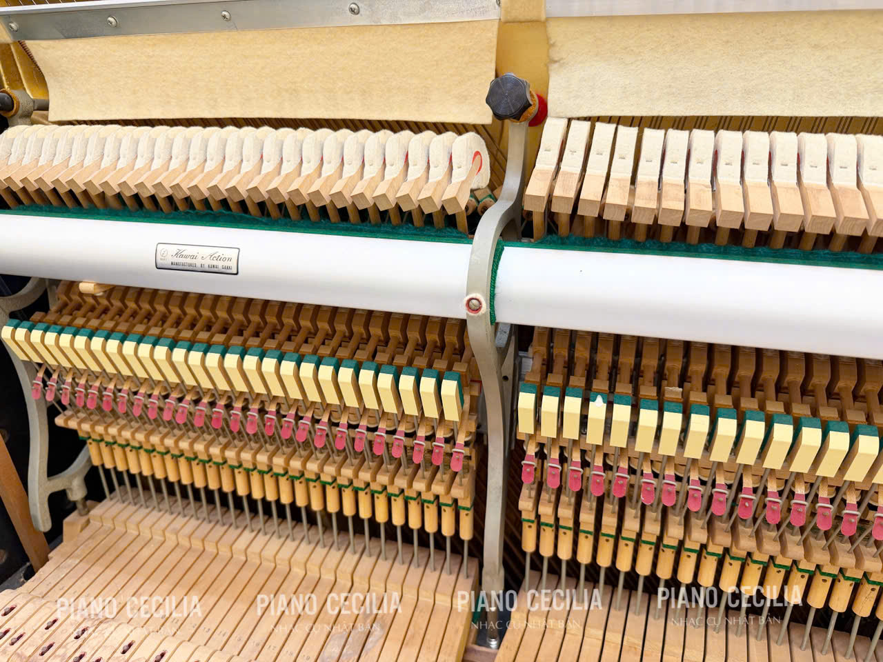 kawai_ku5b_1_