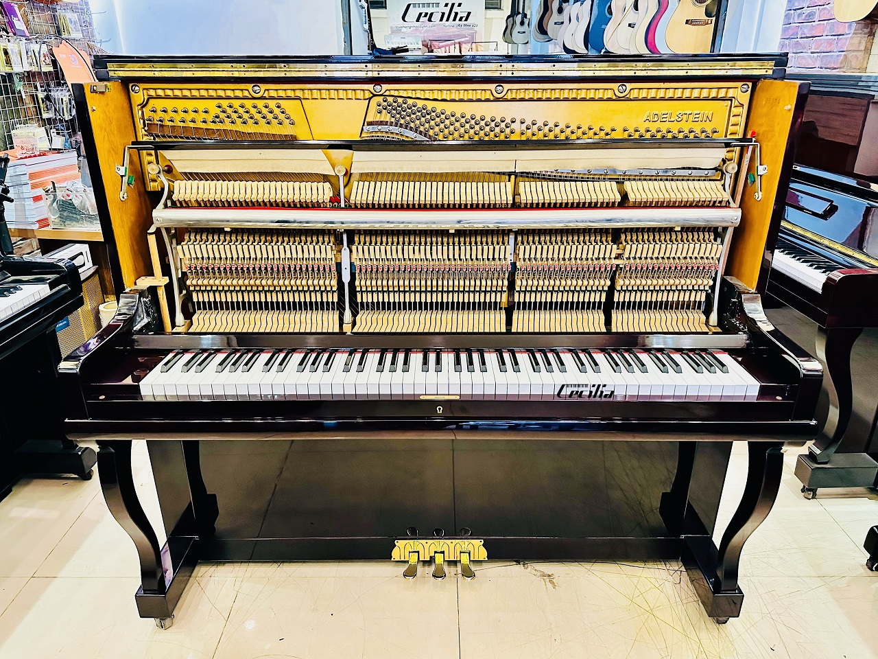 piano-co-adelstein-3