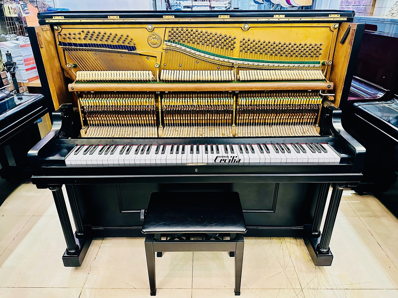 piano-co-feurich-3
