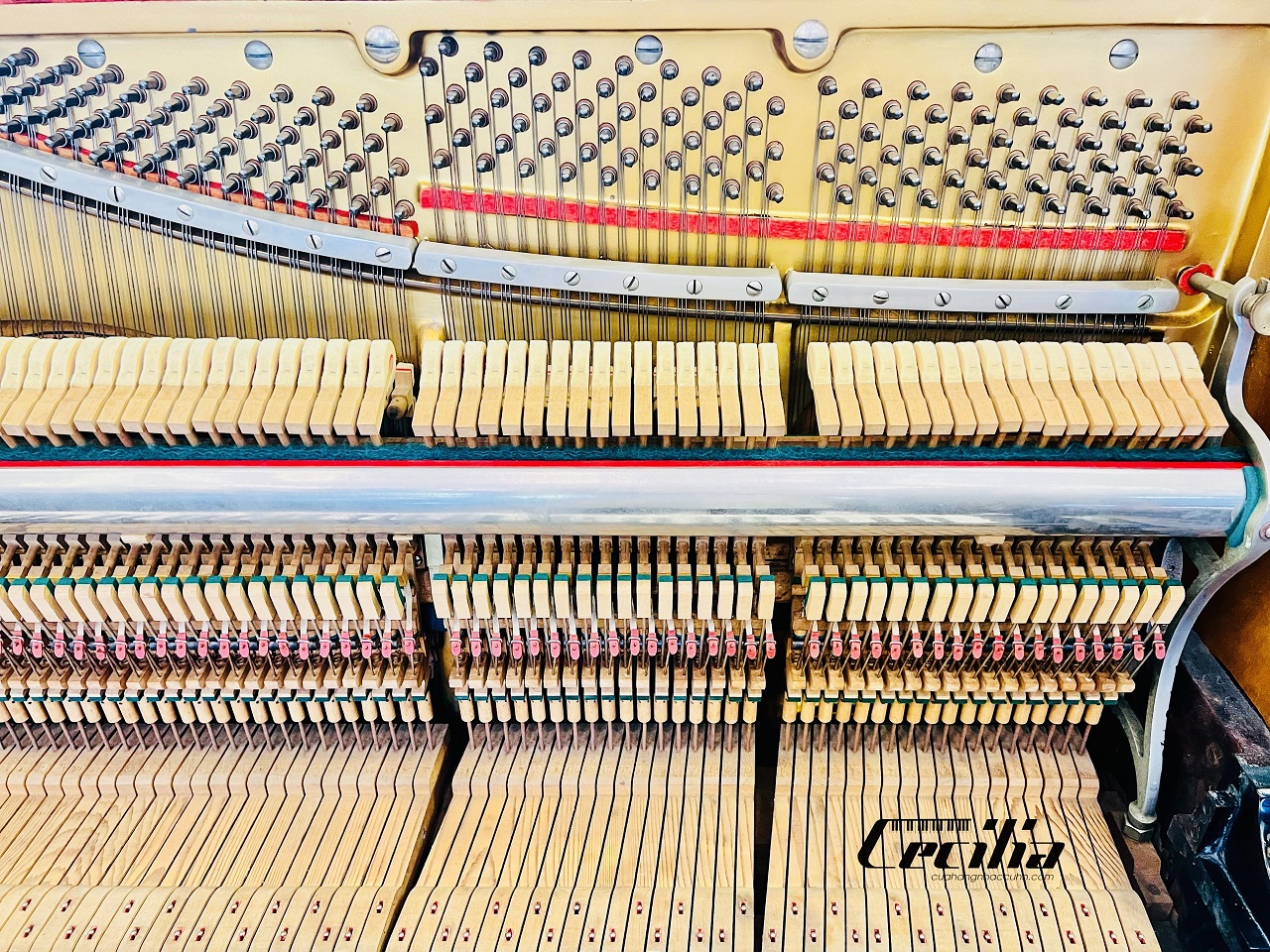 piano-co-standard-2