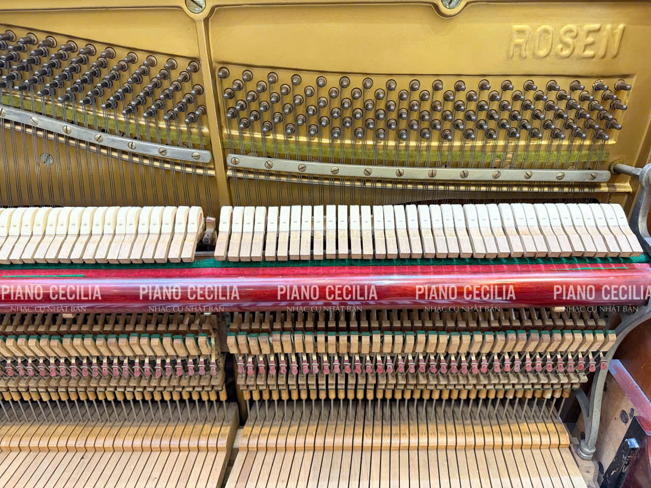 piano_co_rosen_gia_re_2_