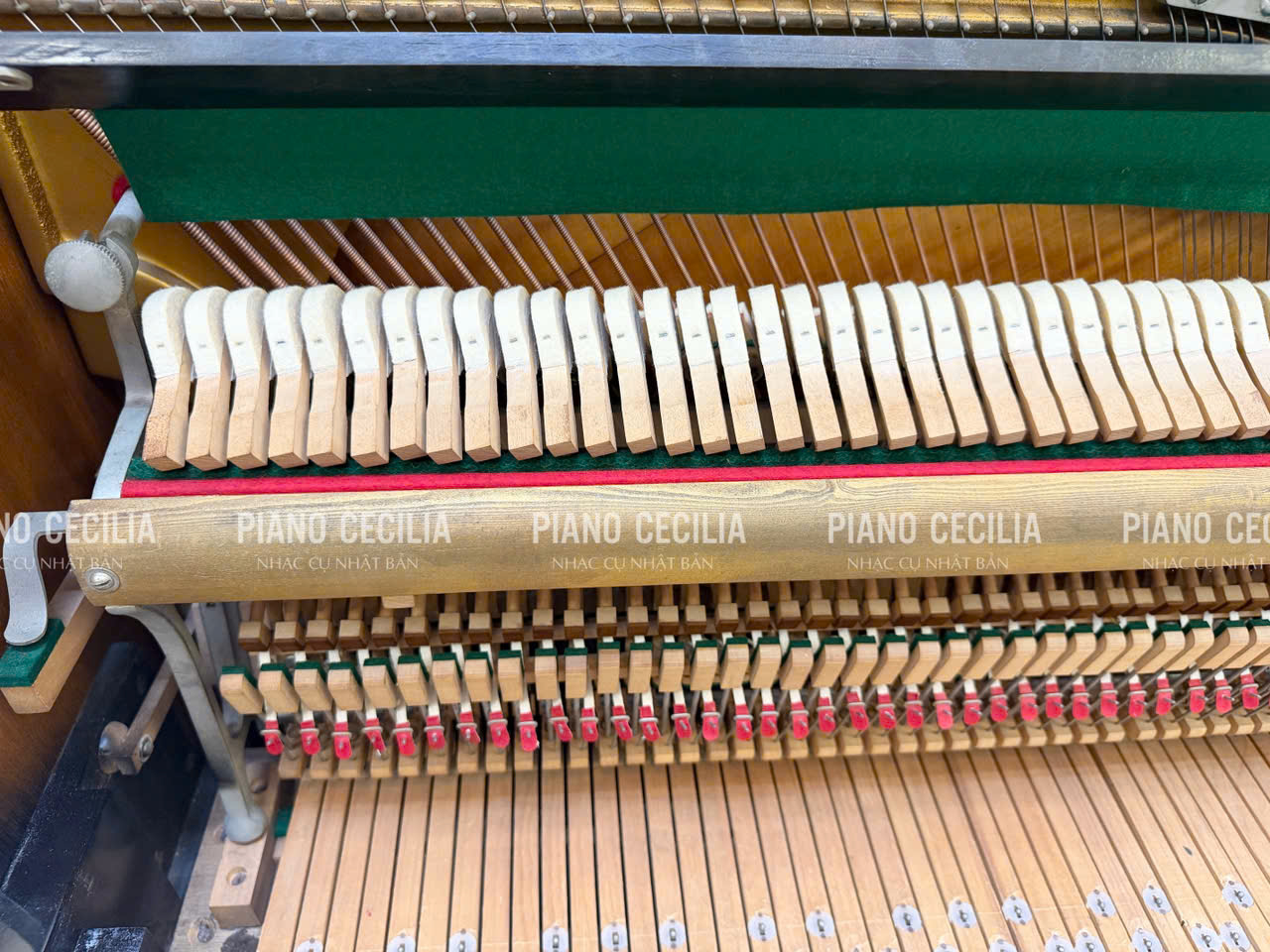 piano_co_tonica_gia_re_2