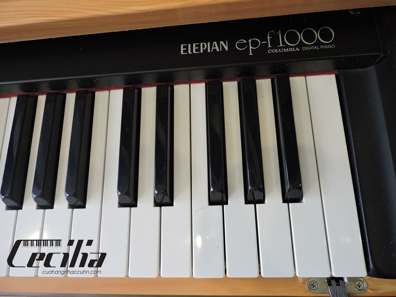 piano_dien_columbia_epf1000
