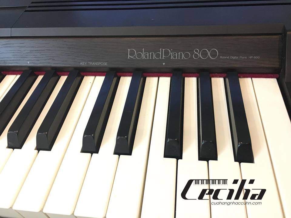 piano_dien_roland_hp800_5