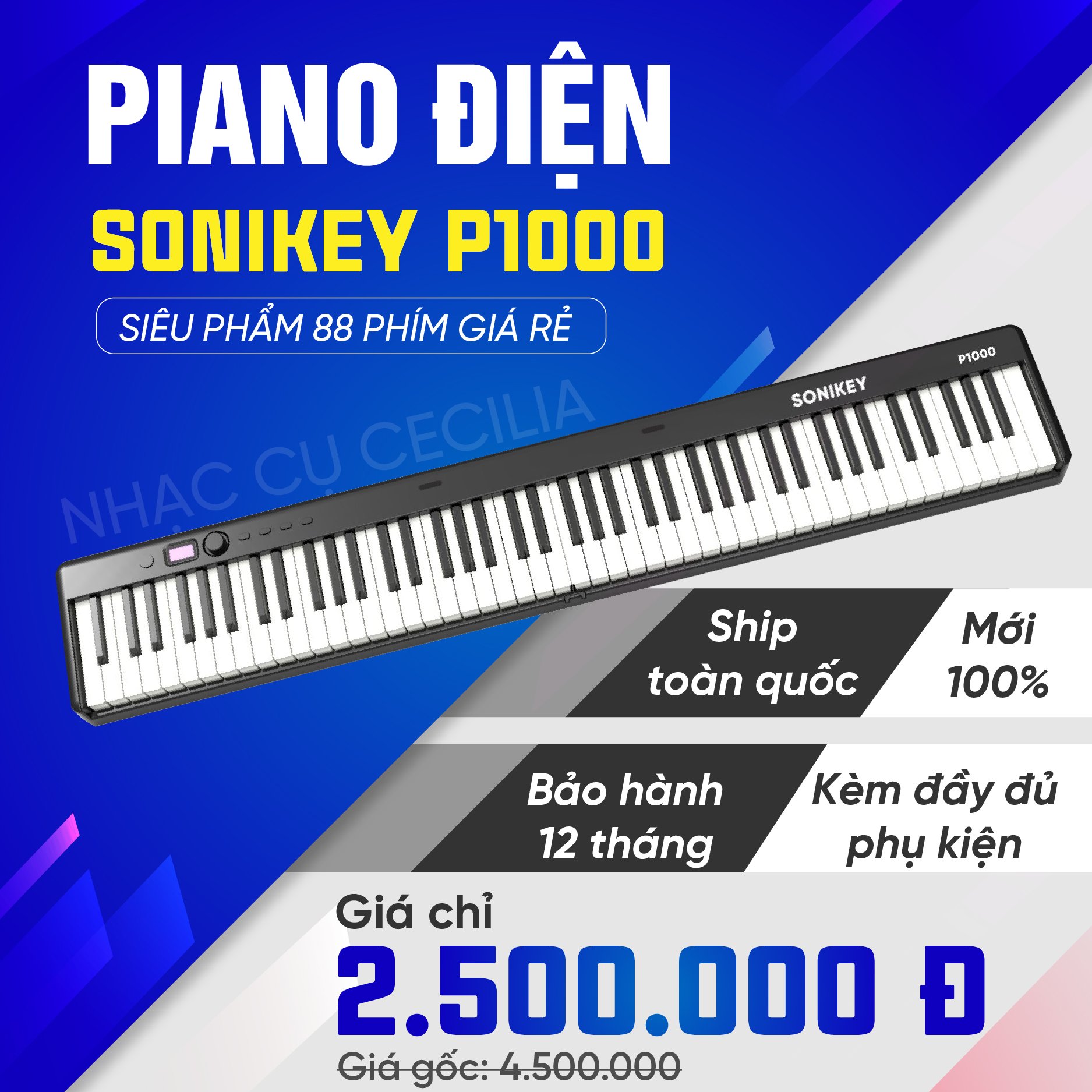 piano_p1000