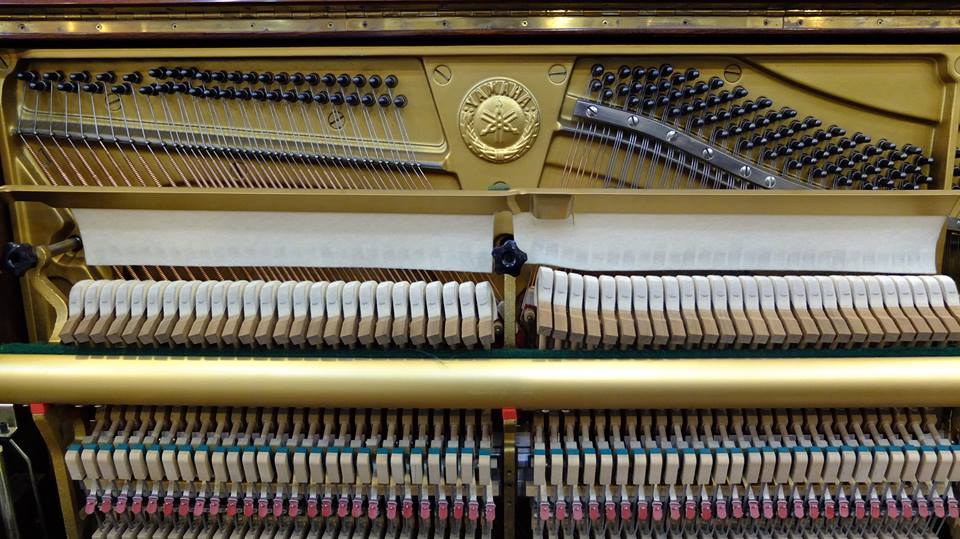 pianocohanoi