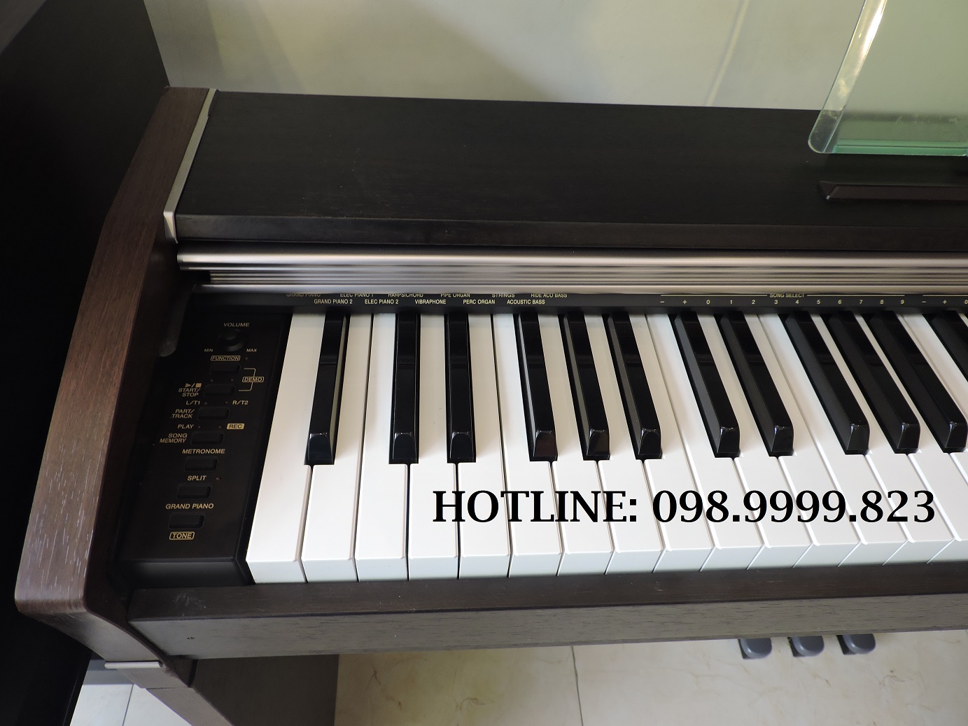 pianodiencasiopx700