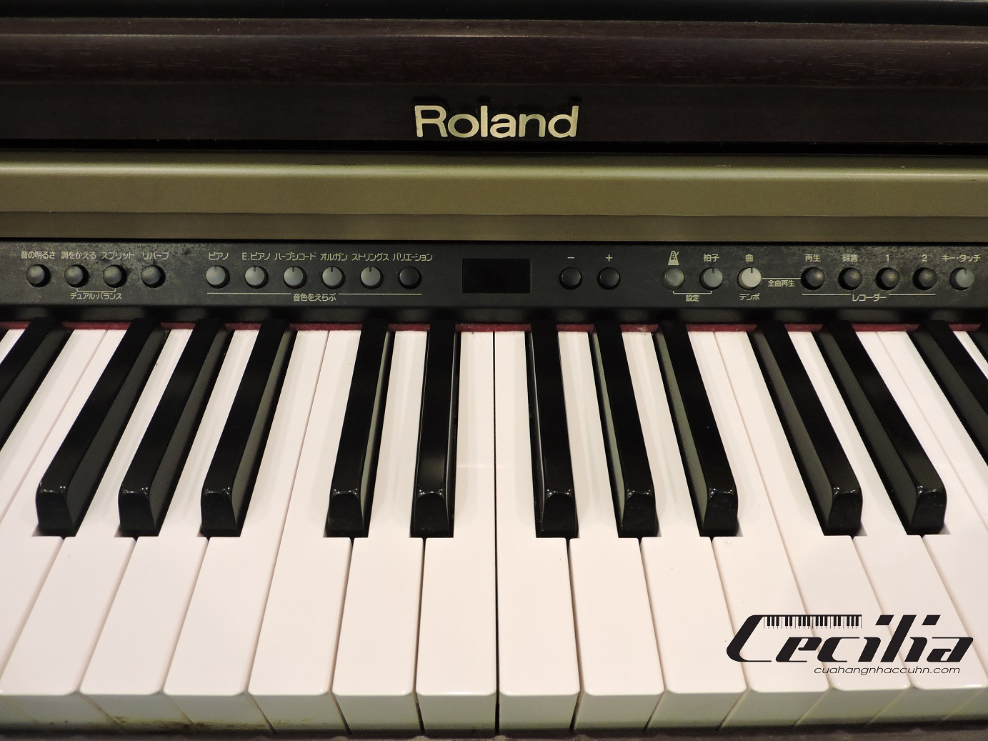 pianodienrolandhp2