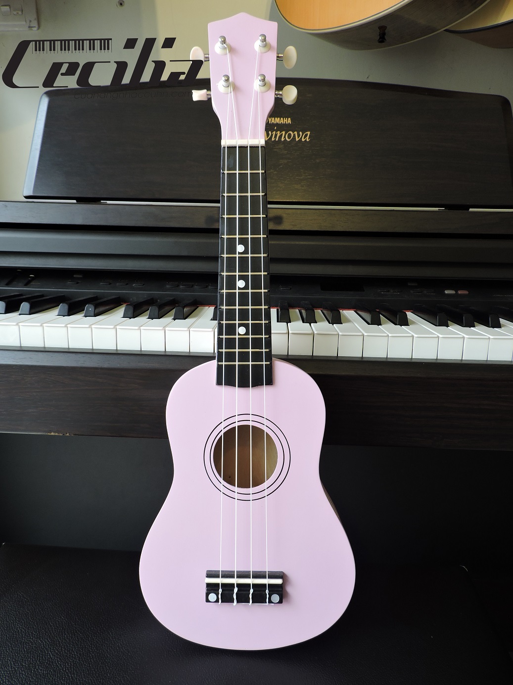 ukulele_soprano_1