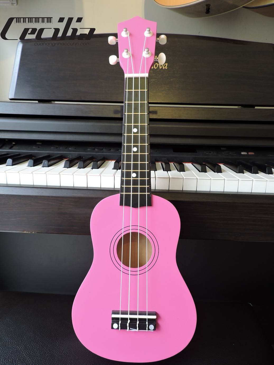 ukulele_soprano_2