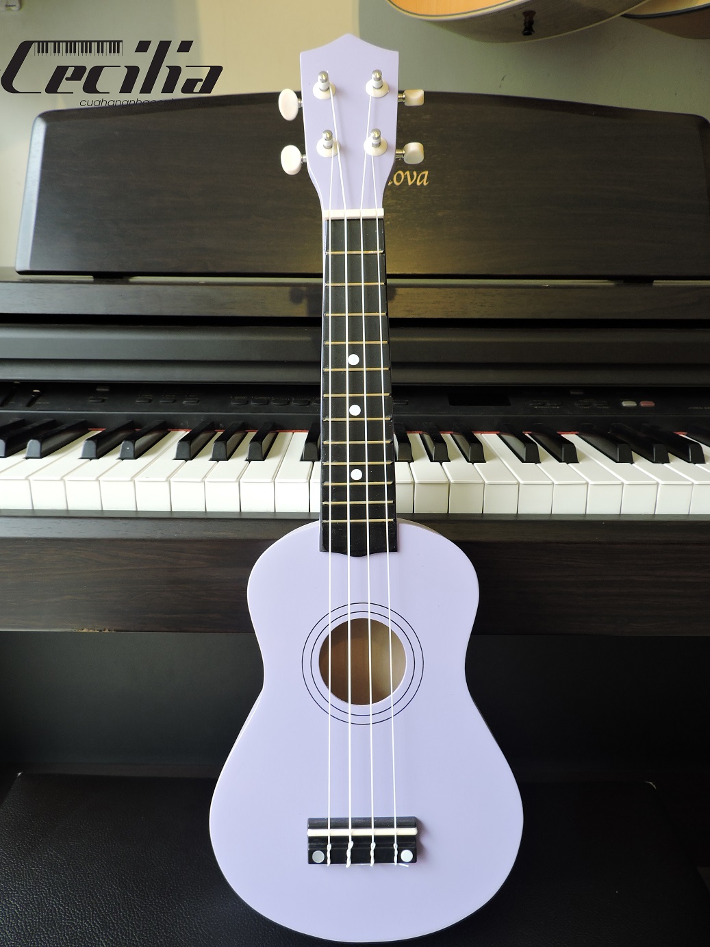 ukulele_soprano_3