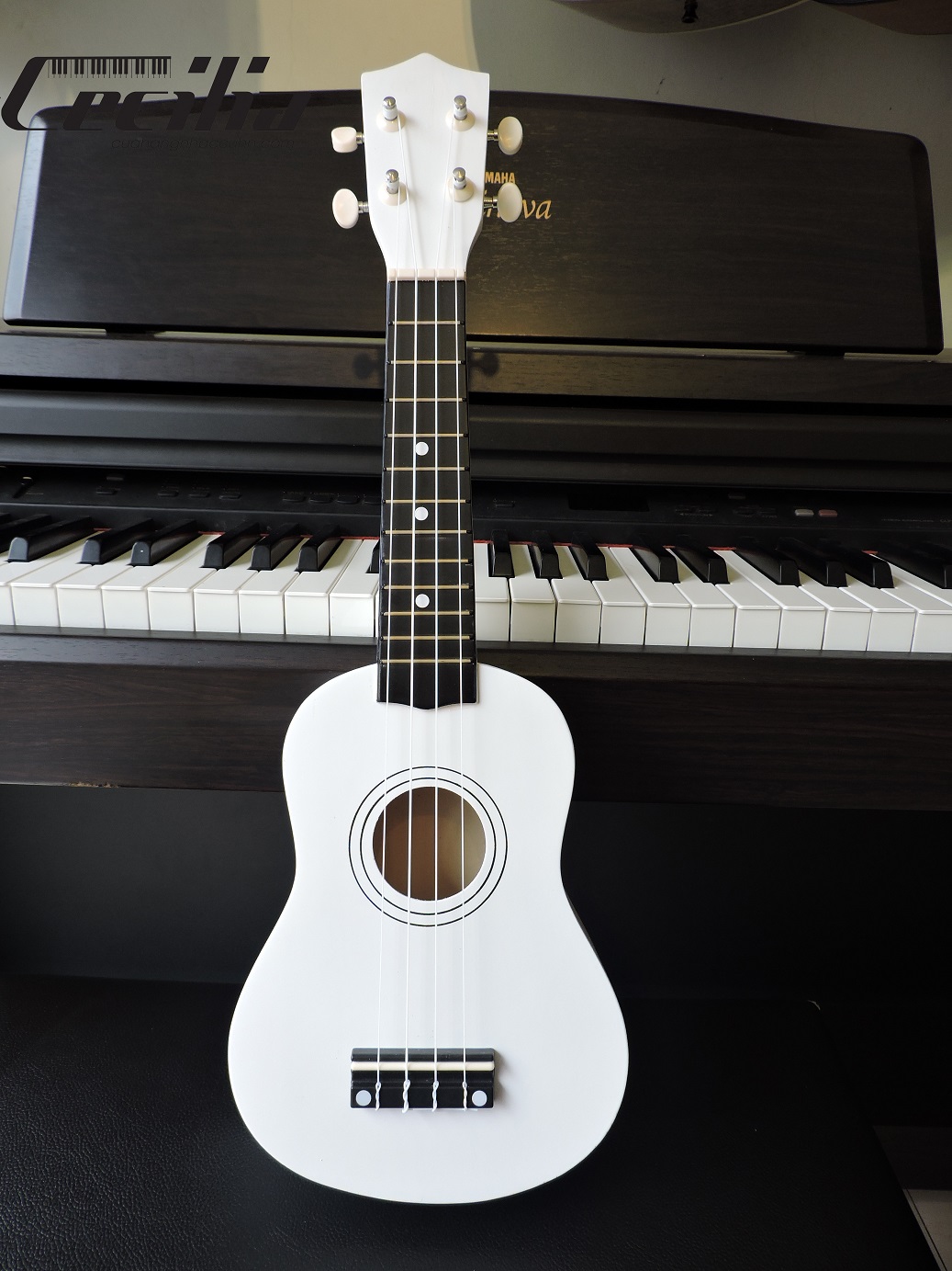 ukulele_soprano_4