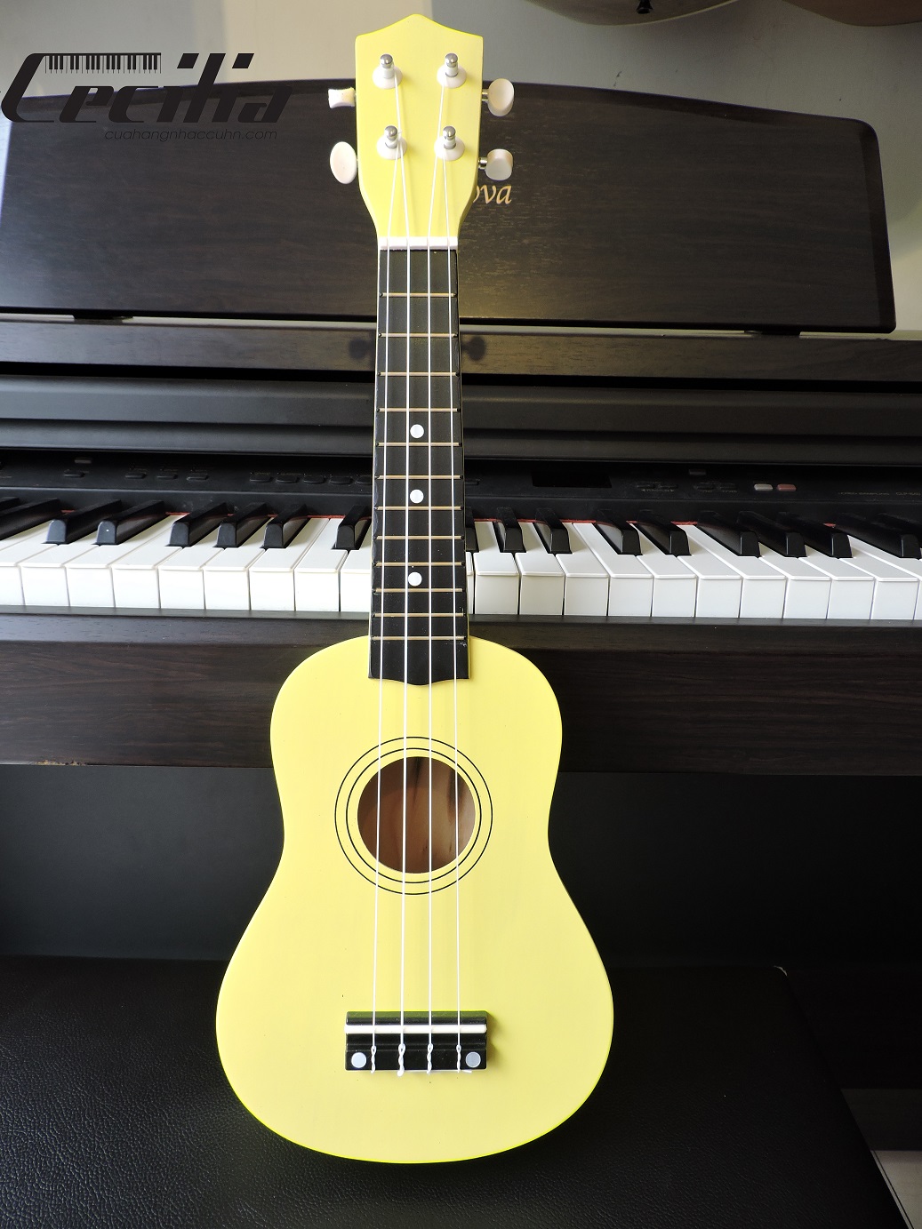 ukulele_soprano_5