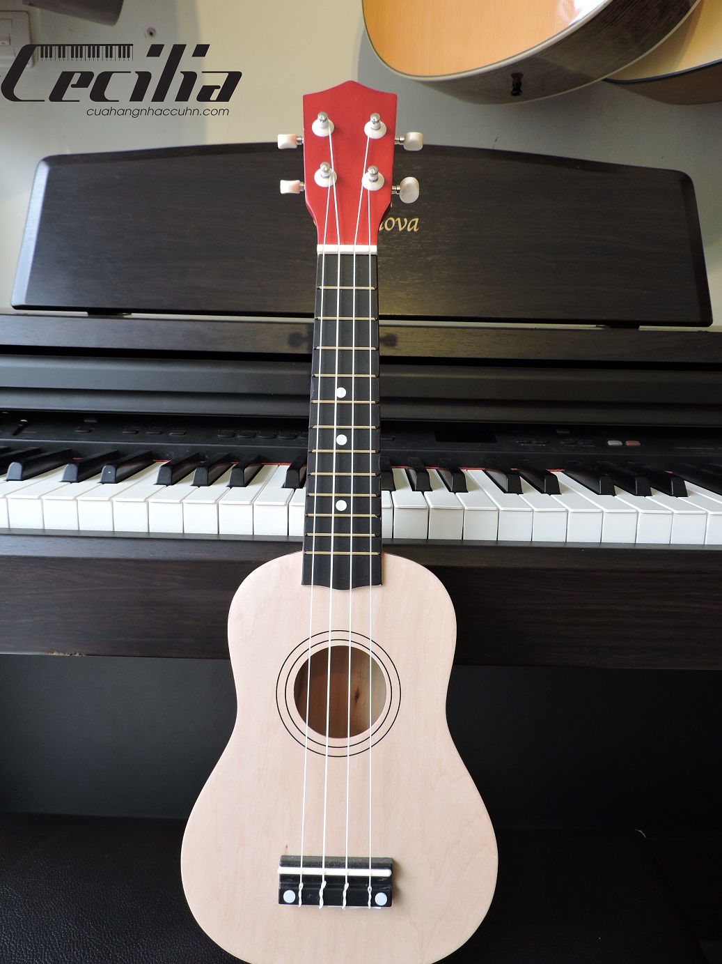 ukulele_soprano_6
