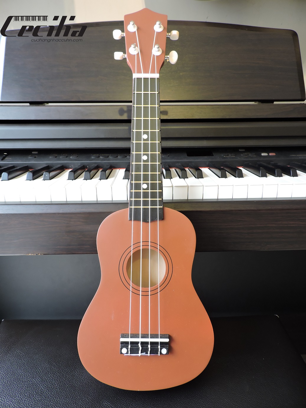 ukulele_soprano_7
