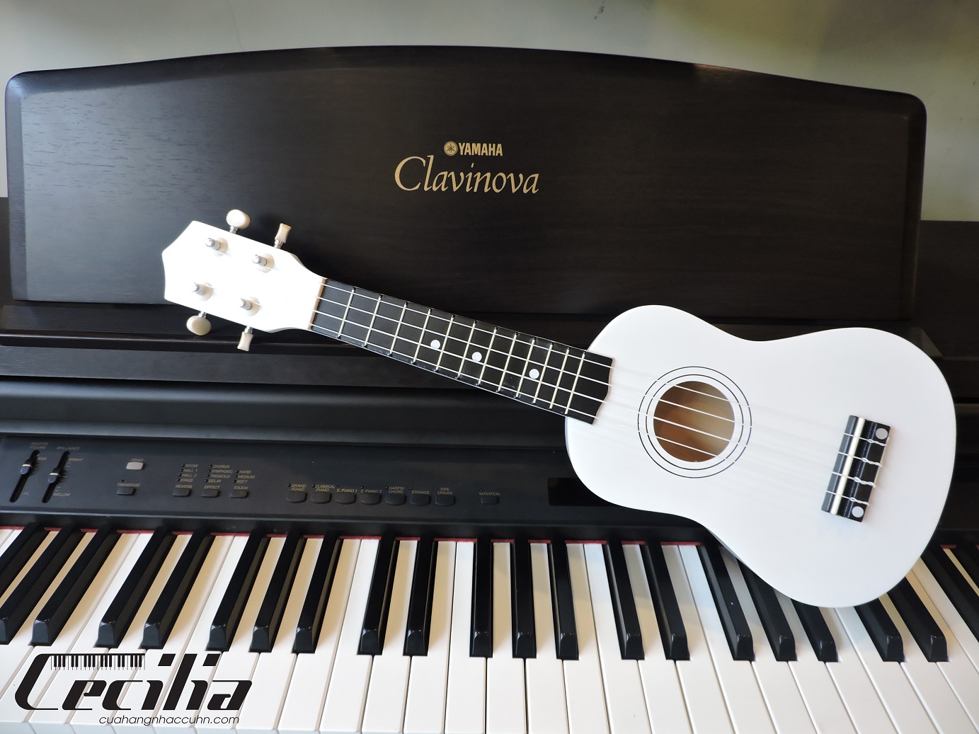 ukulele_soprano_tron_mau_trang