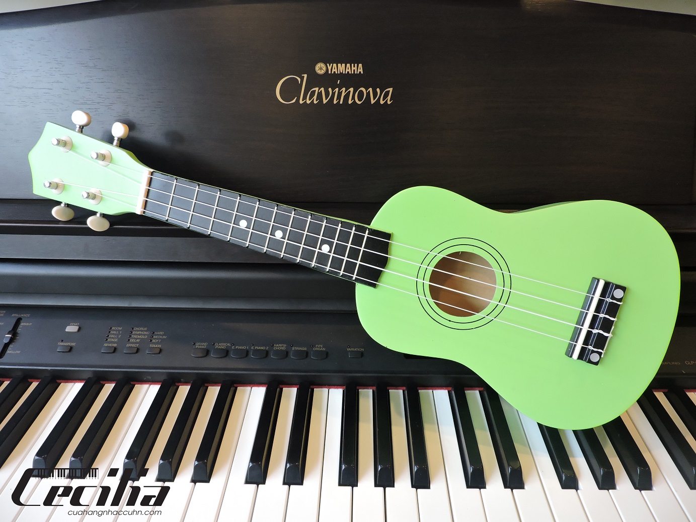 ukulele_soprano_tron_mau_xan_non