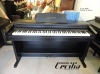 piano-dien-casio-ap-55-piano-dien-gia-re - ảnh nhỏ  1