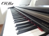 dan-piano-casio-vj201-piano-gia-re-nhat-ha-noi - ảnh nhỏ 5