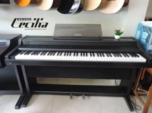 Piano Kawai PW2500 | Piano Nhật Bản