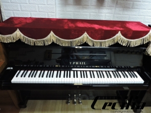 Đàn Piano cơ Apollo T.Prall - Piano cơ Nhật Bản