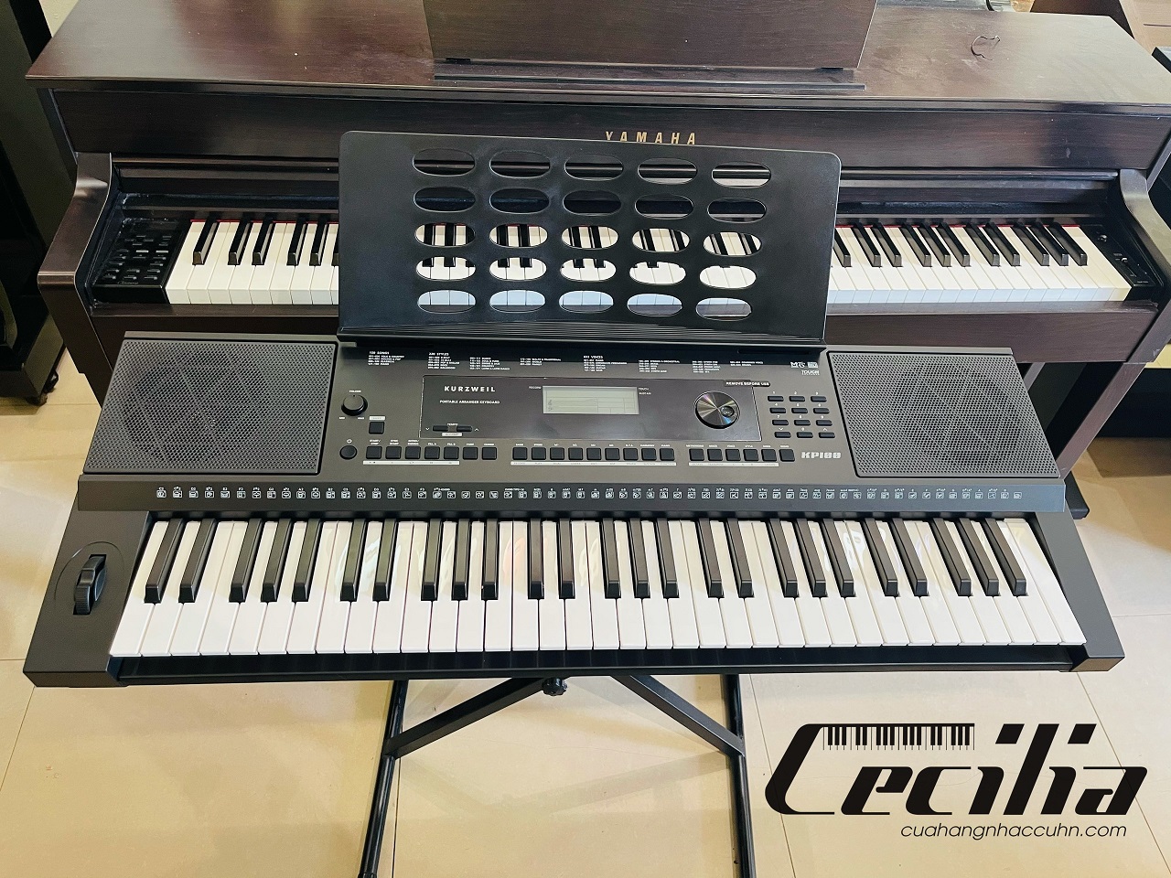 Bán đàn organ Kurzweil KP100 giá rẻ