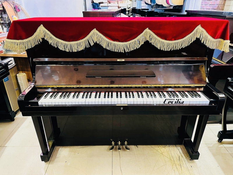 Đàn Piano cơ Nhật giá rẻ | Nhập nguyên kiện tại Nhật